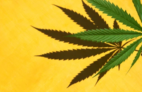 slider image slider_item_yGPUfb